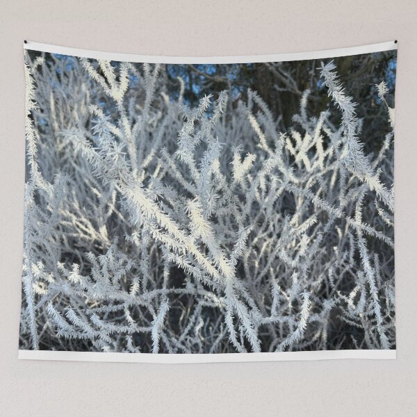 Item preview, Hoarfrost on Vegetation at Eccup Reservoir near Leeds designed and sold by Violaman.