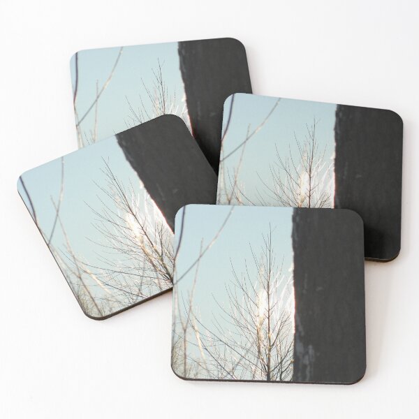 Item preview, Sun reflects on snowy branches designed and sold by CB Photography and Design.