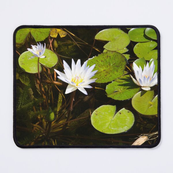 Item preview, Water Lillies designed and sold by xaviccino.