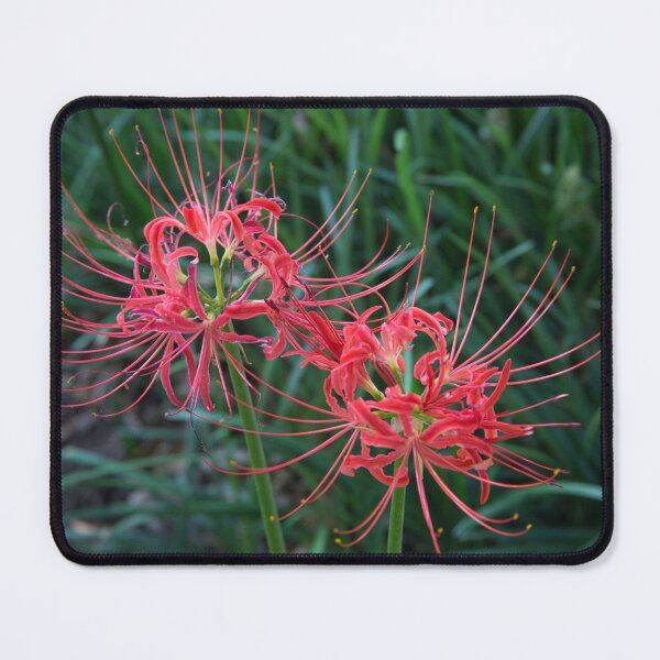 Item preview, Red Spider Lily designed and sold by xaviccino.