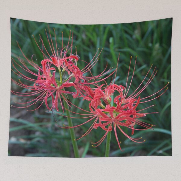 Item preview, Red Spider Lily  designed and sold by xaviccino.