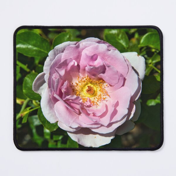 Item preview, In Full Bloom designed and sold by xaviccino.