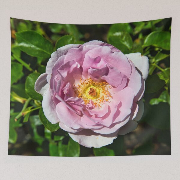 Item preview, In Full Bloom designed and sold by xaviccino.