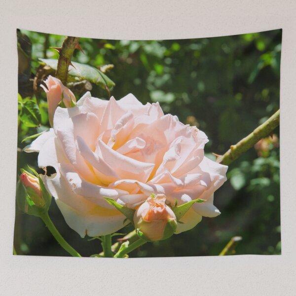 Item preview, Rose designed and sold by xaviccino.