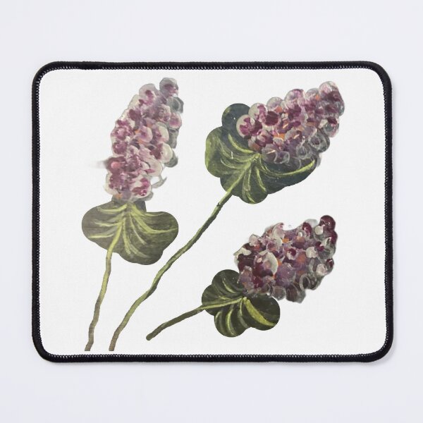 Item preview, Raspberries  designed and sold by Lauracolleen3.