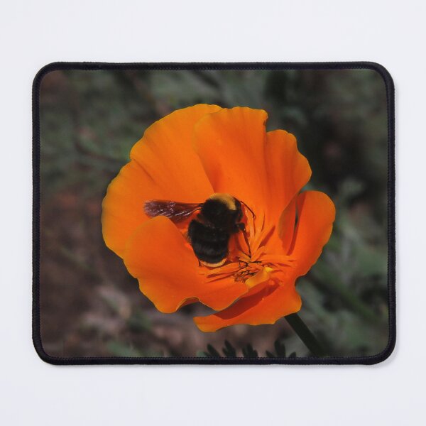 Item preview, The Pollinator designed and sold by heatherfriedman.