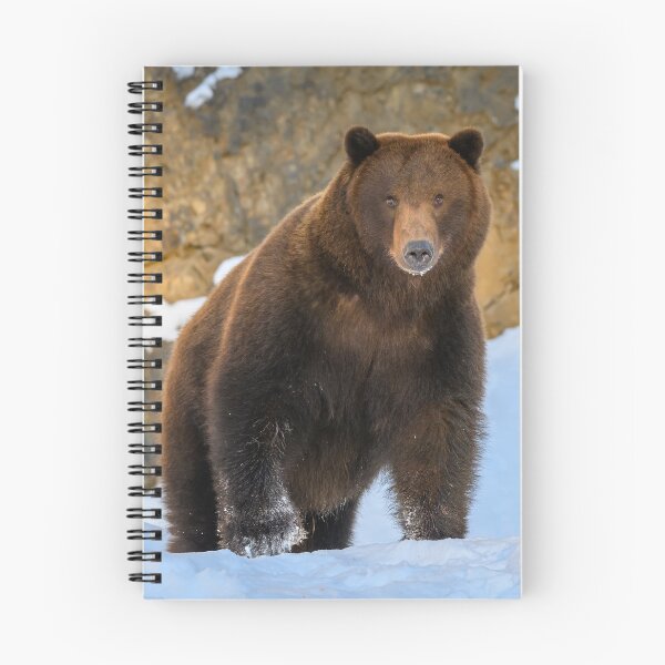 Item preview, Snow Grizzly designed and sold by ColetteHillPhotography.