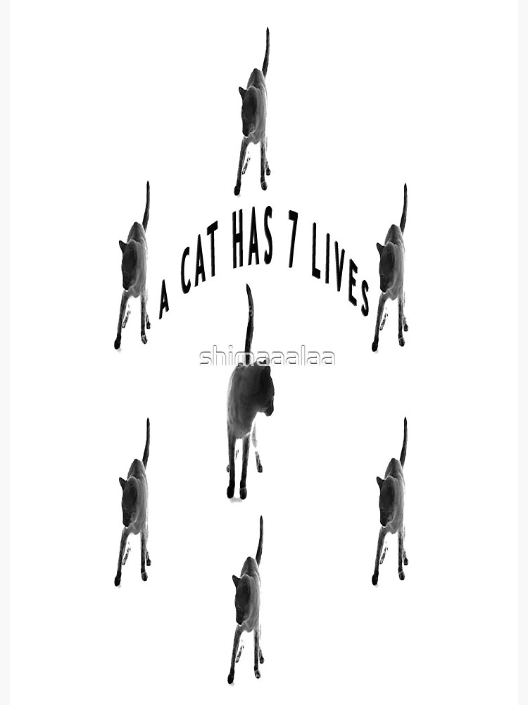cat seven lives