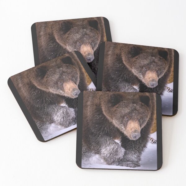Item preview, Watchfull designed and sold by ColetteHillPhotography.