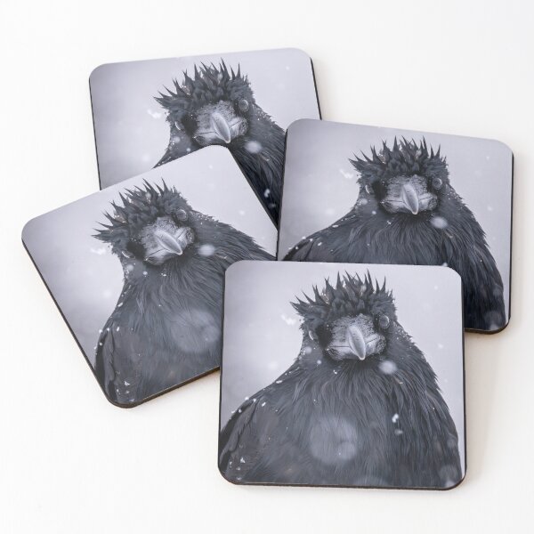 Item preview, Punk Rocker designed and sold by ColetteHillPhotography.