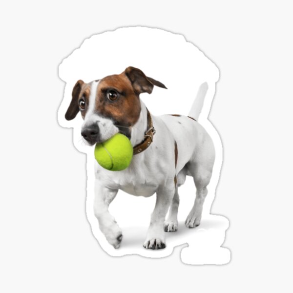 Aperçu de l'œuvre Mon chien, mon coach sportif créée et vendue par ShopWithMus.
