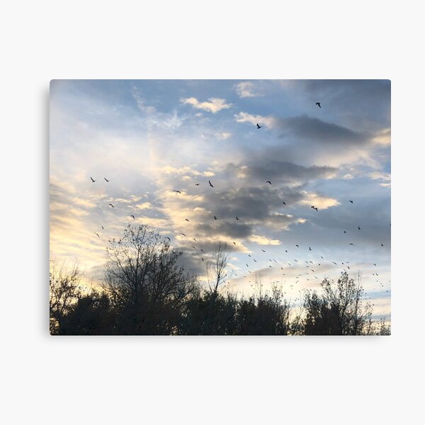 Item preview, Sunrise Flock designed and sold by Mountain Westscapes.