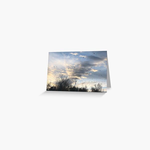 Item preview, Sunrise Flock designed and sold by Mountain Westscapes.