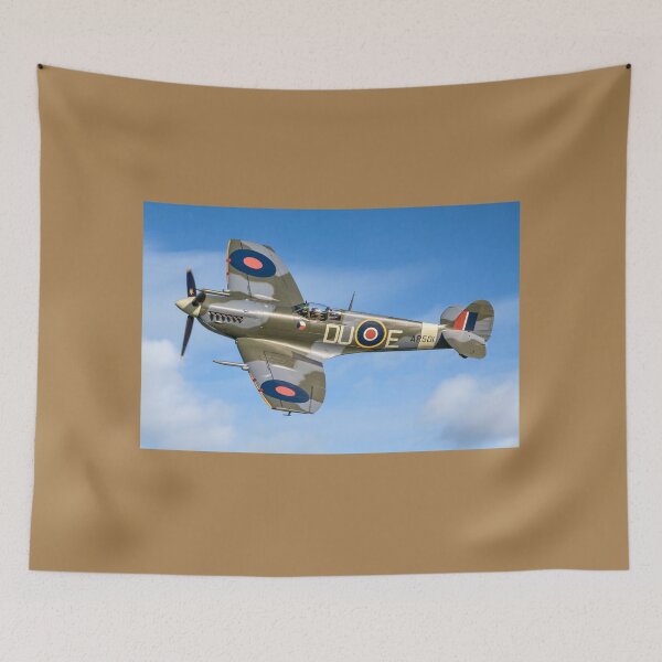 Item preview, Spitfire LF.Vc AR501/DU-E G-AWII designed and sold by Colin Smedley.