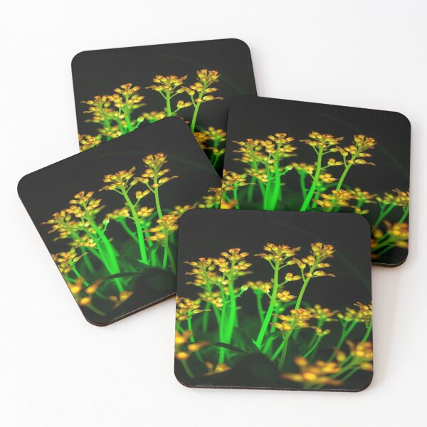 Item preview, Bioluminescent plants designed and sold by Zoa220.