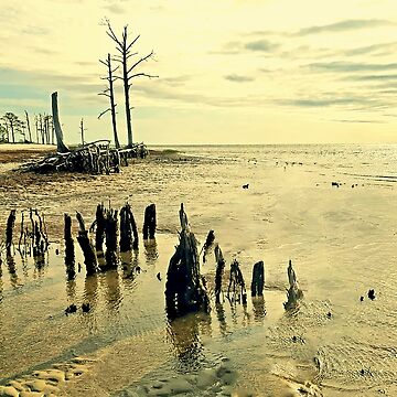 Artwork thumbnail, Mashes Sands Beach West Shore by tlraineystudio