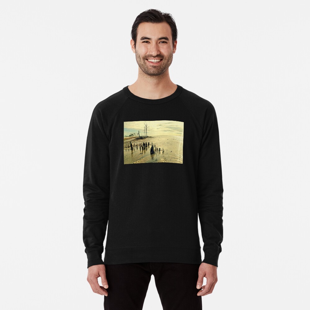 Item preview, Lightweight Sweatshirt designed and sold by tlraineystudio.