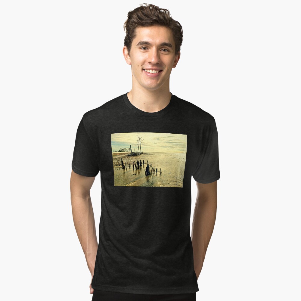 Item preview, Tri-blend T-Shirt designed and sold by tlraineystudio.