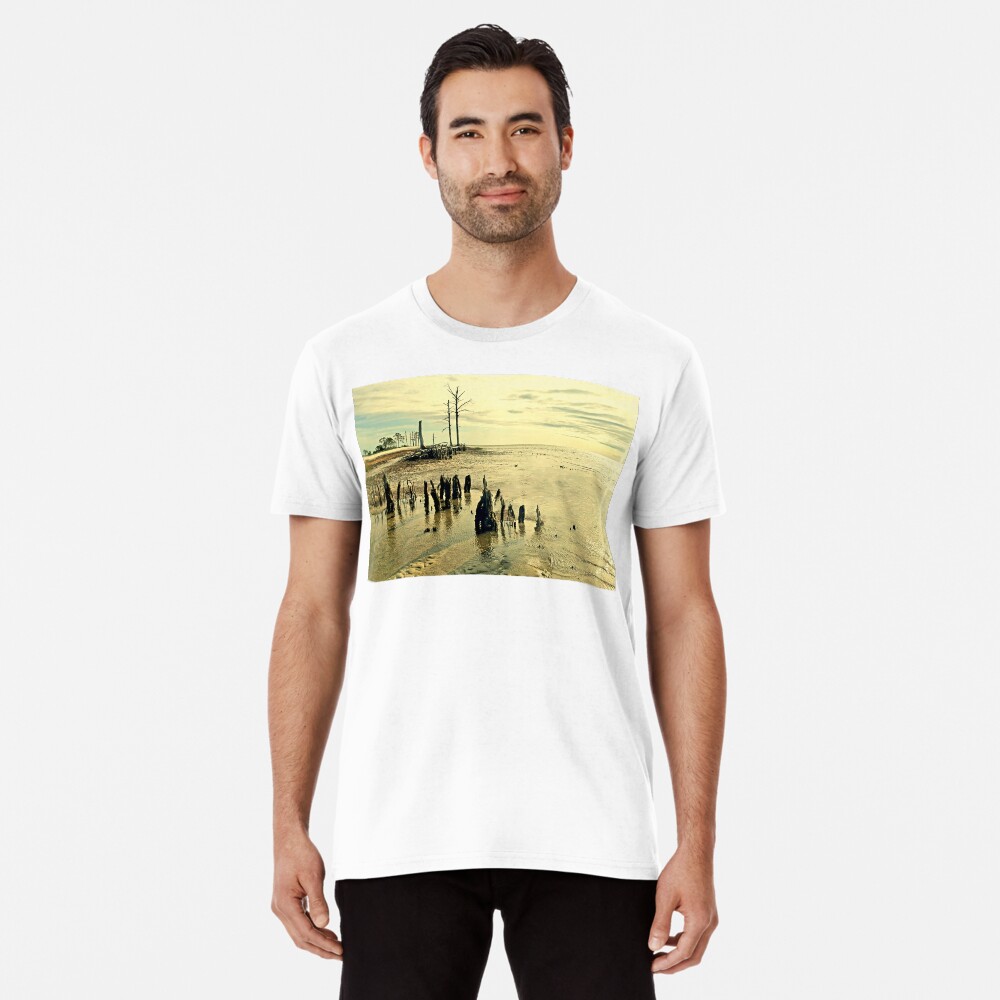 Item preview, Premium T-Shirt designed and sold by tlraineystudio.