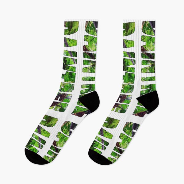 Item preview, DAINTREE - National Park Fan Palms Queensland Australia designed and sold by Adam Gormley.