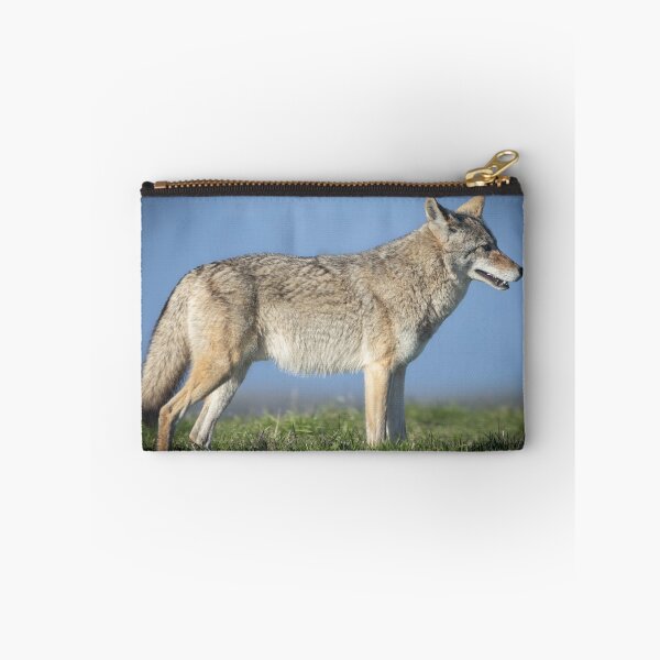 Item preview, Handsome coyote designed and sold by Anthony Brewer.