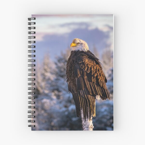 Item preview, Winter Morning Eagle designed and sold by ColetteHillPhotography.