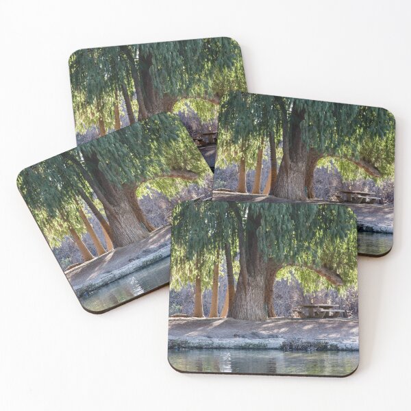 Item preview, Fairmont Park in Riverside, CA designed and sold by CarolM.