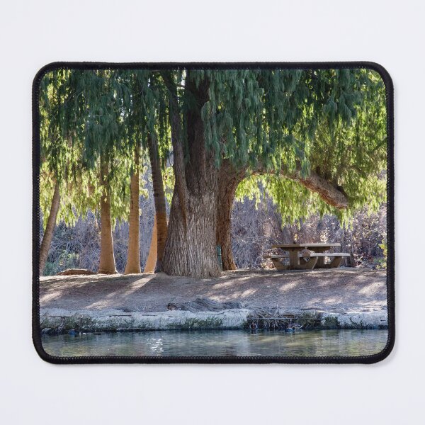 Item preview, Fairmont Park in Riverside, CA designed and sold by CarolM.
