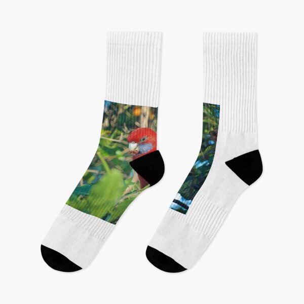 Item preview, Crimson Rosella  designed and sold by D-GaP.
