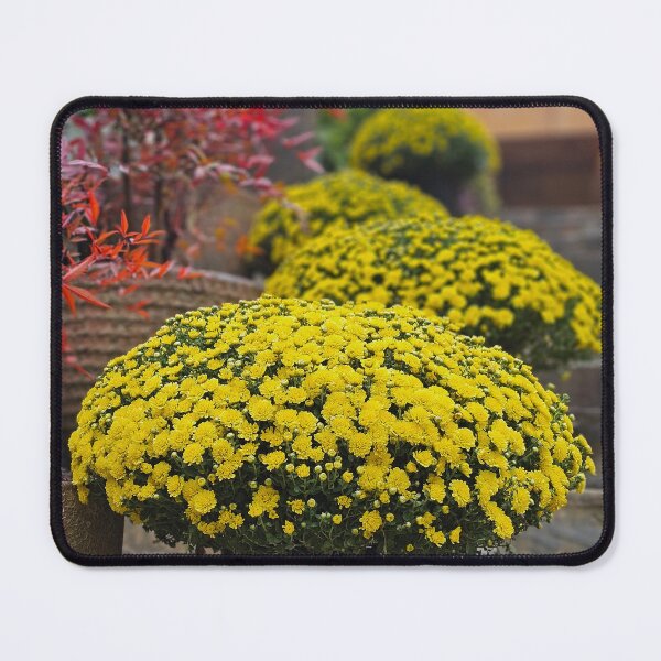 Item preview, A burst of sunshine in my garden. designed and sold by montip-shop.