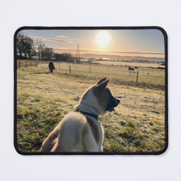 Item preview, Akitainu moka and sunshine  designed and sold by KayoUK.