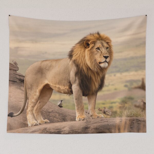 Item preview, Majestic Male Lion on Rocky Outcrop designed and sold by AnimalAirtistry.