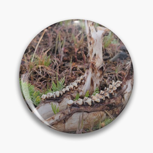 Item preview, Bones and Wildflowers II (Yakima Deer Skull) designed and sold by rornelson.
