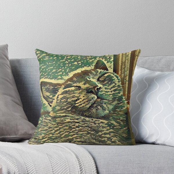 SCHLAFENDE KATZE Dekokissen