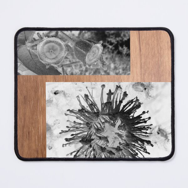 Item preview, Angophora hispida - colour changes designed and sold by Arcane Botanica.