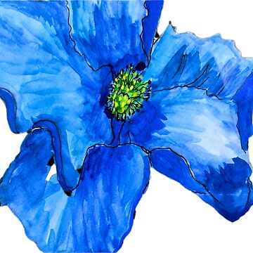 Artwork thumbnail, A Beautiful Blue Himalayan Poppy by ladyinthemitten