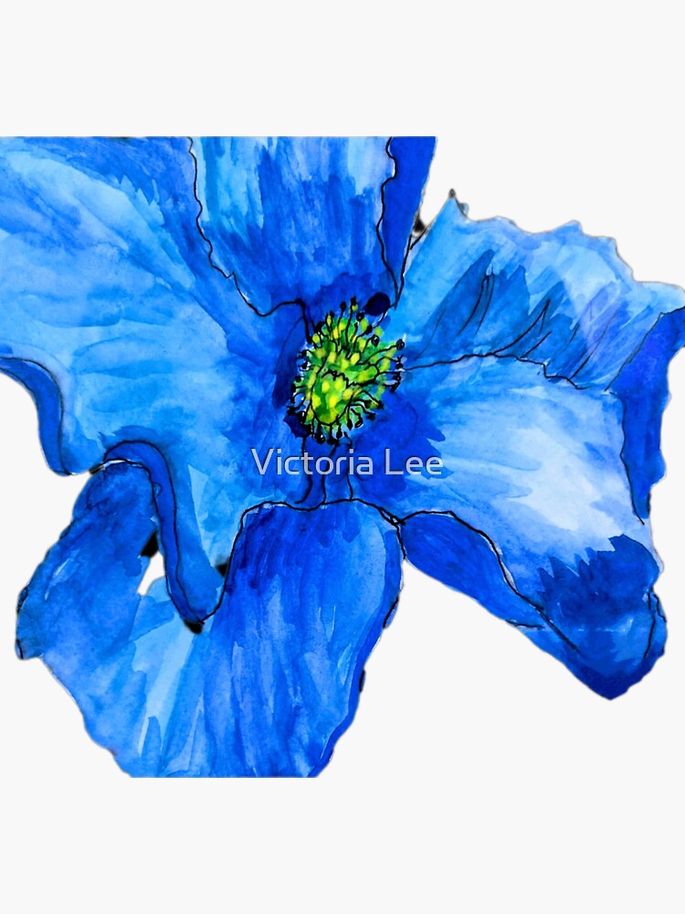 Thumbnail 3 of 3, Sticker, A Beautiful Blue Himalayan Poppy designed and sold by Ladyinthemitten.
