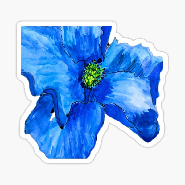 A Beautiful Blue Himalayan Poppy Sticker