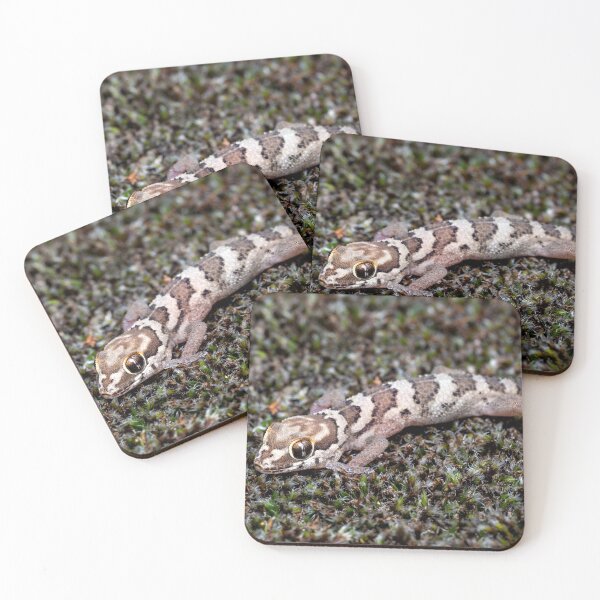 Item preview, Southern Rough Gecko (Pachydactylus formosus) designed and sold by Pixel Press Prints.