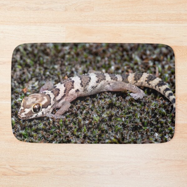Item preview, Southern Rough Gecko (Pachydactylus formosus) designed and sold by Pixel Press Prints.