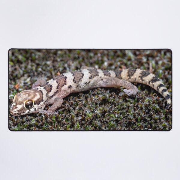 Item preview, Southern Rough Gecko (Pachydactylus formosus) designed and sold by Pixel Press Prints.