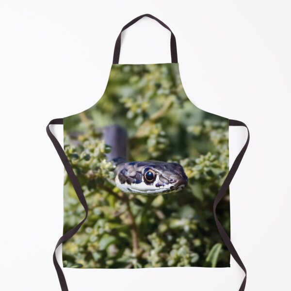Item preview, Karoo Sand Snake (Psammophis notostictus) designed and sold by Pixel Press Prints.
