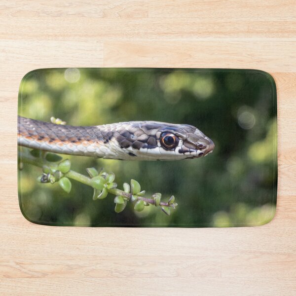 Item preview, Karoo Sand Snake (Psammophis notostictus) designed and sold by Pixel Press Prints.