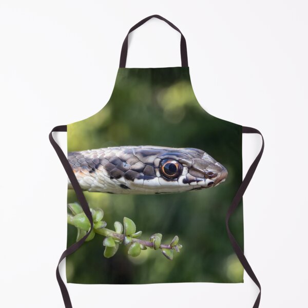 Item preview, Karoo Sand Snake (Psammophis notostictus) designed and sold by Pixel Press Prints.
