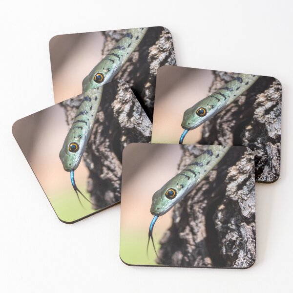Item preview, Spotted Bush Snake (Philothamnus semivariegatus) designed and sold by Pixel Press Prints.