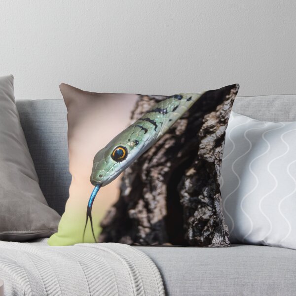 Item preview, Spotted Bush Snake (Philothamnus semivariegatus) designed and sold by Pixel Press Prints.