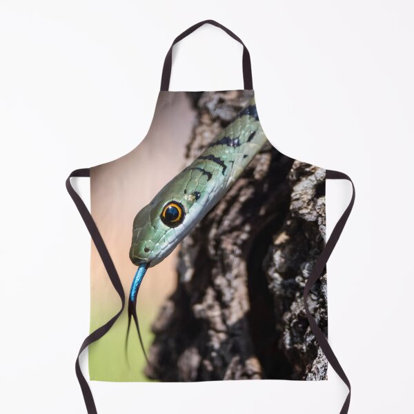 Item preview, Spotted Bush Snake (Philothamnus semivariegatus) designed and sold by Pixel Press Prints.