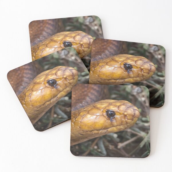Item preview, Cape Cobra (Naja nivea) designed and sold by Pixel Press Prints.