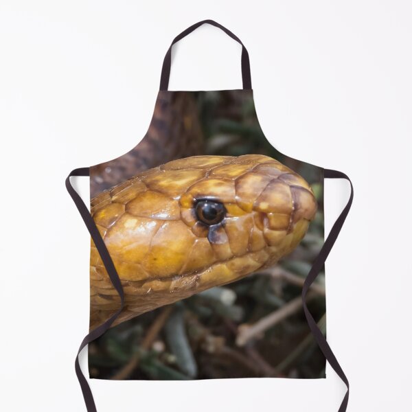 Item preview, Cape Cobra (Naja nivea) designed and sold by Pixel Press Prints.