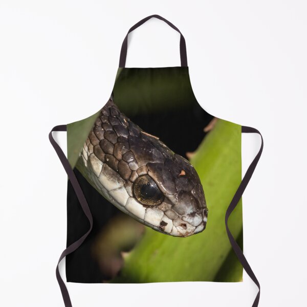 Item preview, Boomslang (Dispholidus typus) designed and sold by Pixel Press Prints.